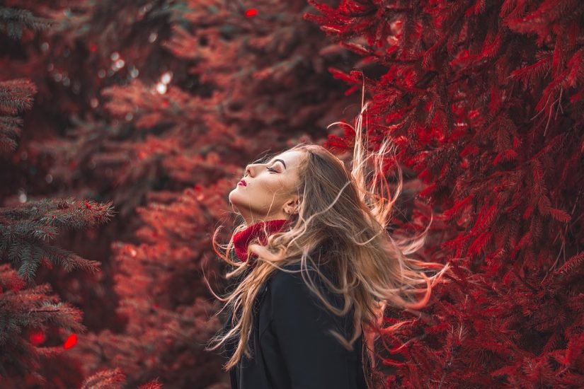 portrait, woman, model, female, young woman, female model, autumn, red, person, hair, nature, forest, fashion, style, outfit, modeling, pose, posing, woman, model, model, model, model, autumn, autumn, hair, hair, hair, hair, hair
